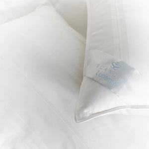 Scandia Lucerne Down Pillow