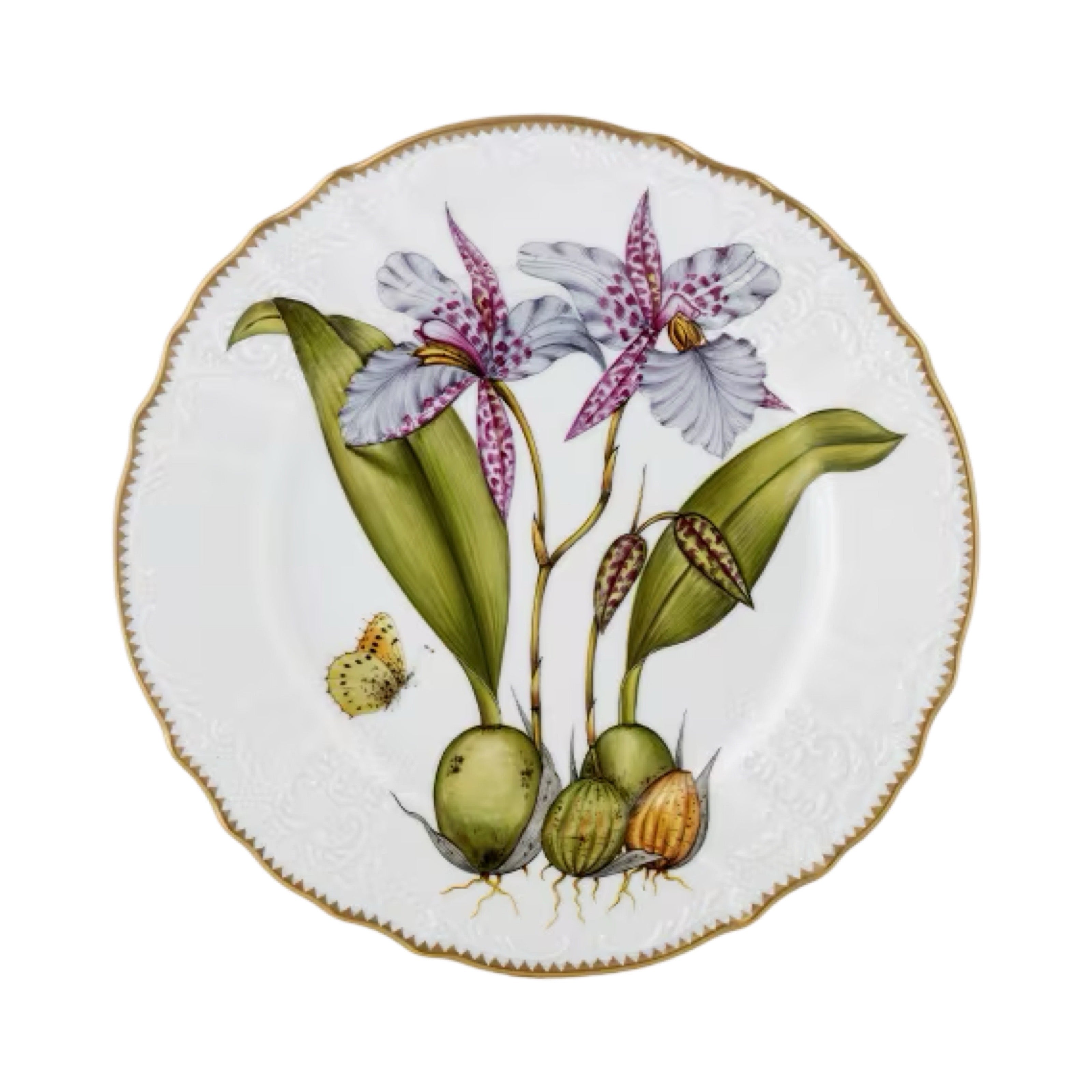 Anna Weatherley Orchid Dinner Plate